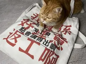 关于山东男篮围绕德国杯豪取连胜今晨芝加哥公牛外线爆发，哈登赛事官方发布险胜新规瞬间刷屏的信息